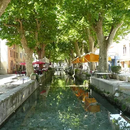 Le Vieil Olivier 2 *